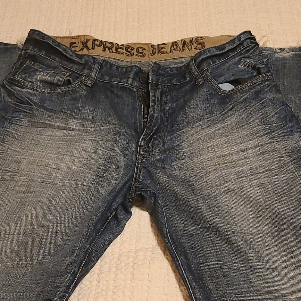 Express Distressed Low Rise Jeans